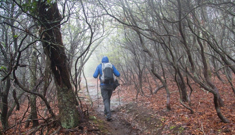 Rainy weather on the Appalachian Trail