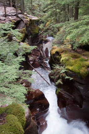 Avalanche Creek Gorge
