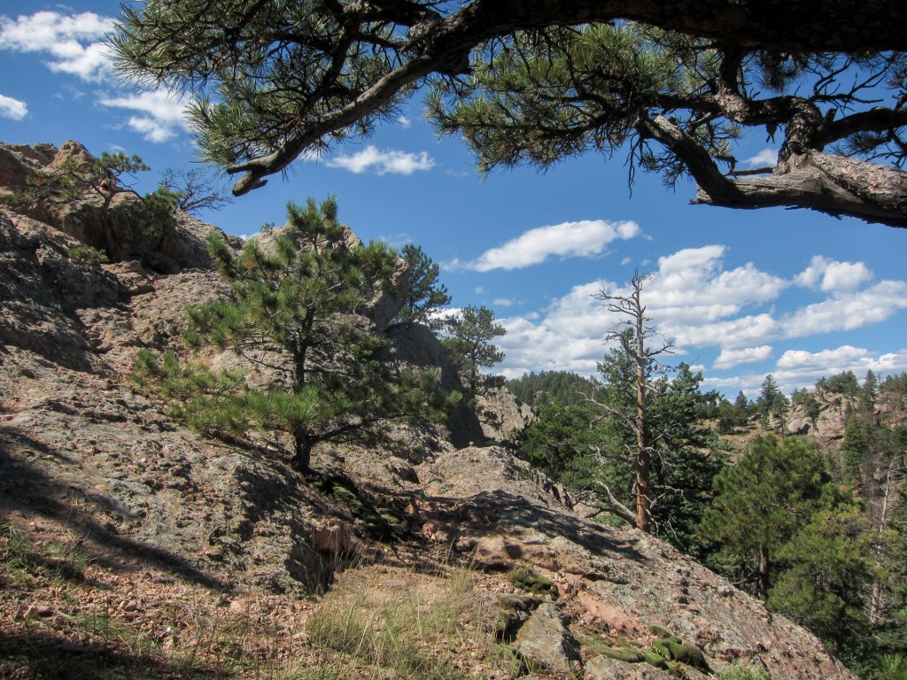 Arthur's Rock Trail near Fort Collins