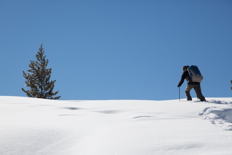 Working hard to snowshoe uphill through powder