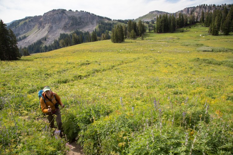 Teton Crest Trail just north of Marion Lake