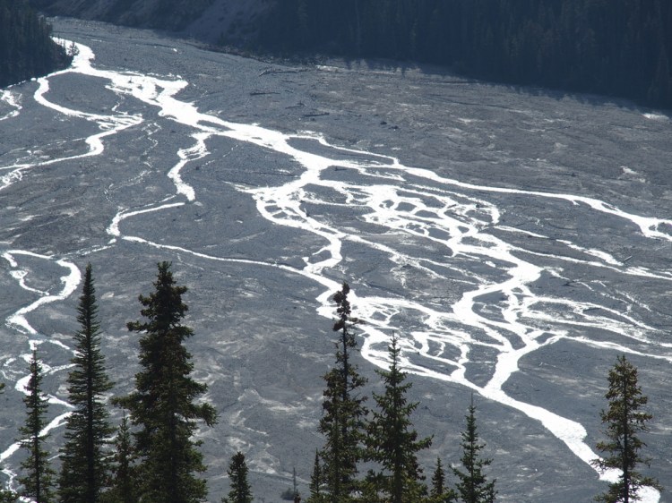 Peyto Lake inlet