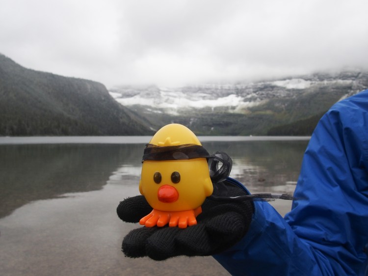 Cheep Cheep at Cameron Lake