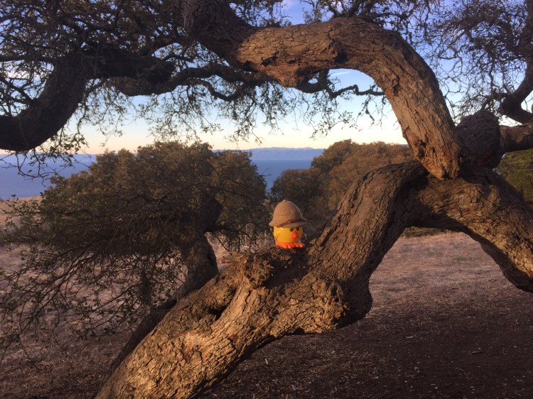 File Feb 18, 11 30 10 AM