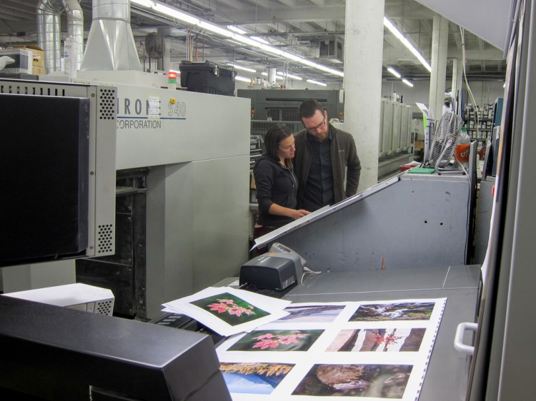 Adjusting colors at press check