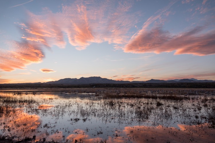 Sunset at the crane pond